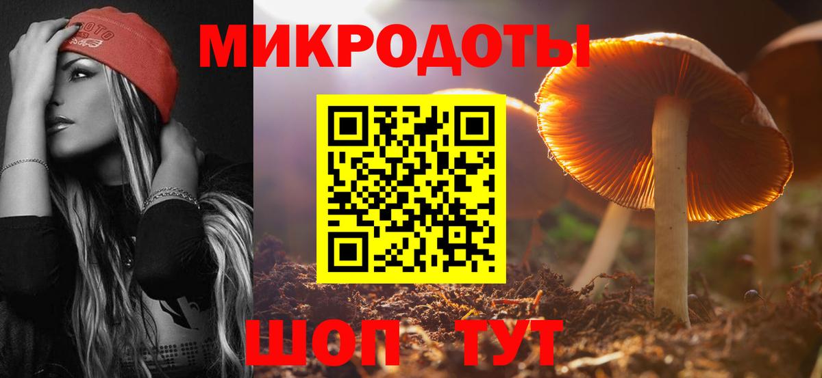 Галлюциногенные грибы ЛСД  Вход с VPN  Новозыбков 